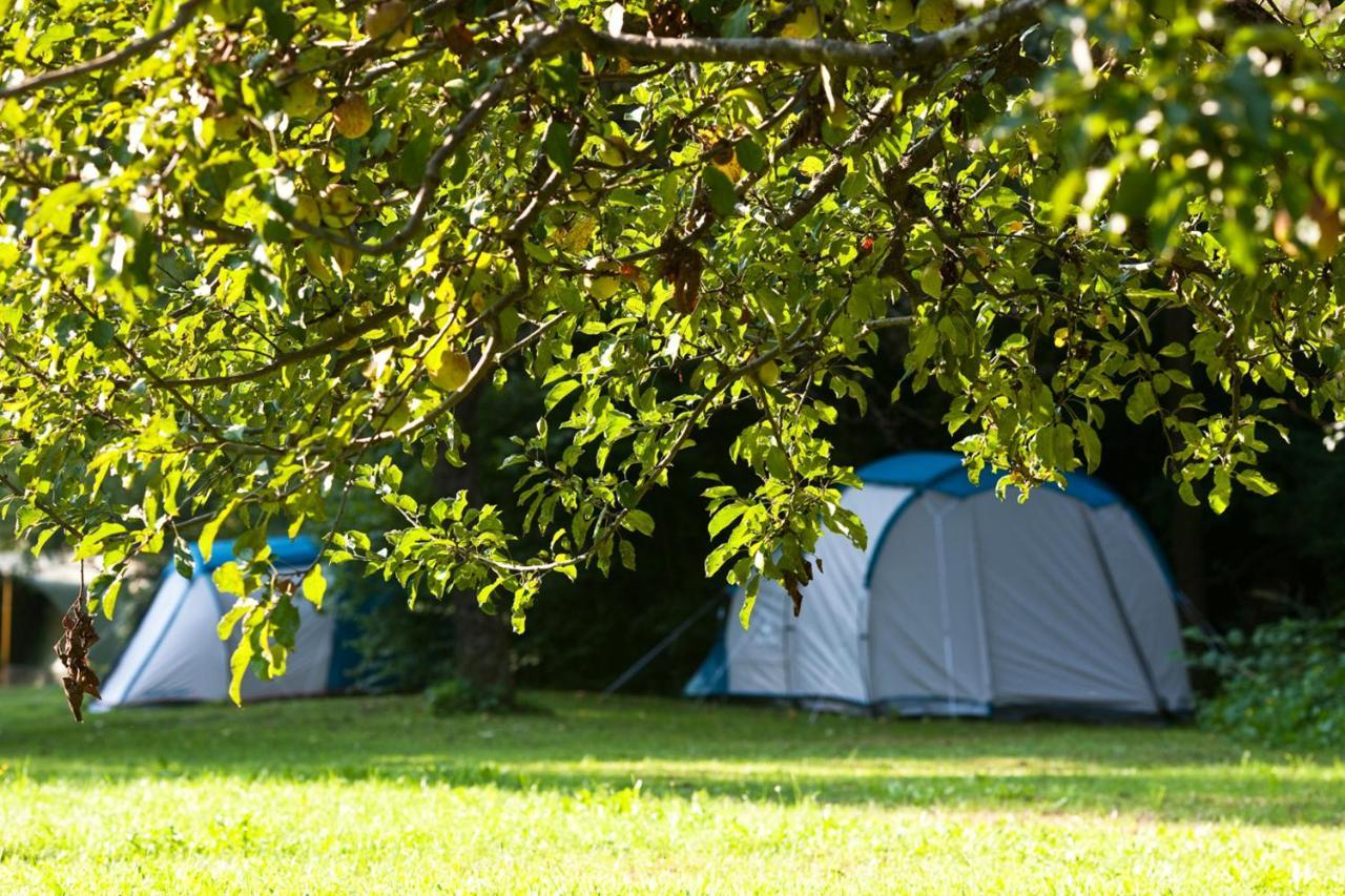 Camping Naturplac Na Skali Ljubno Zewnętrze zdjęcie