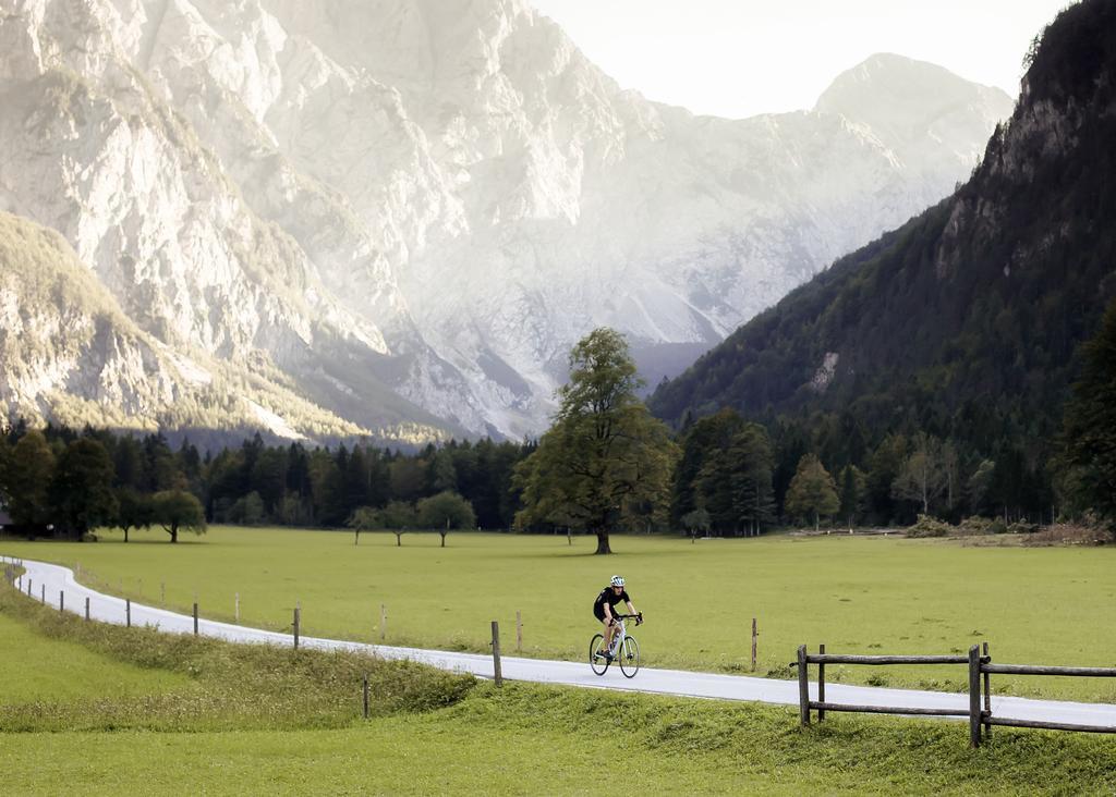 Camping Naturplac Na Skali Ljubno Zewnętrze zdjęcie