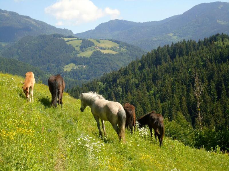 Camping Naturplac Na Skali Ljubno Zewnętrze zdjęcie