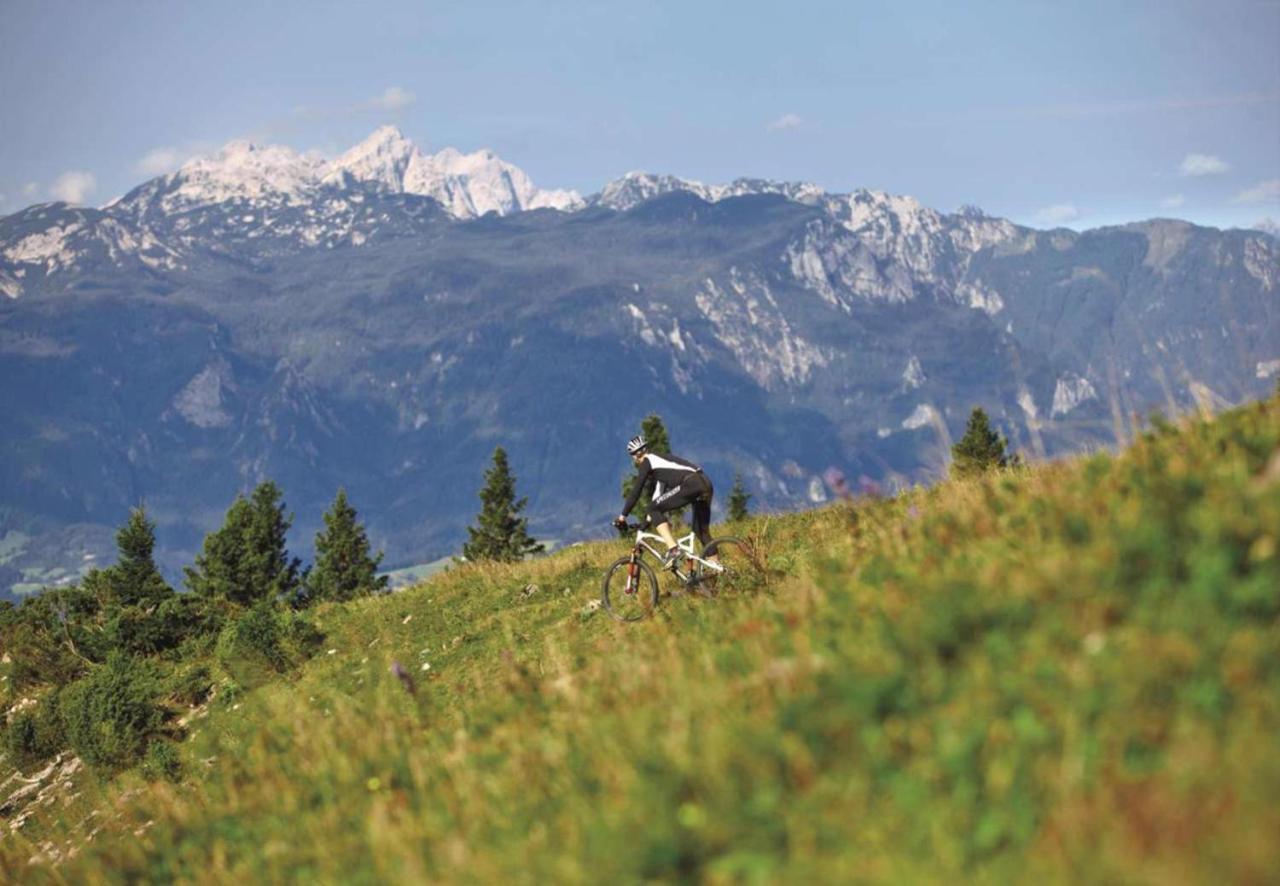 Camping Naturplac Na Skali Ljubno Zewnętrze zdjęcie