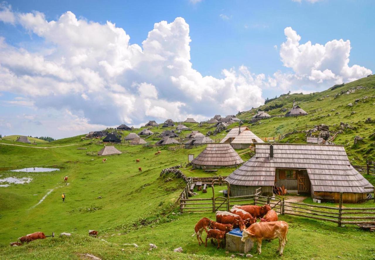 Camping Naturplac Na Skali Ljubno Zewnętrze zdjęcie