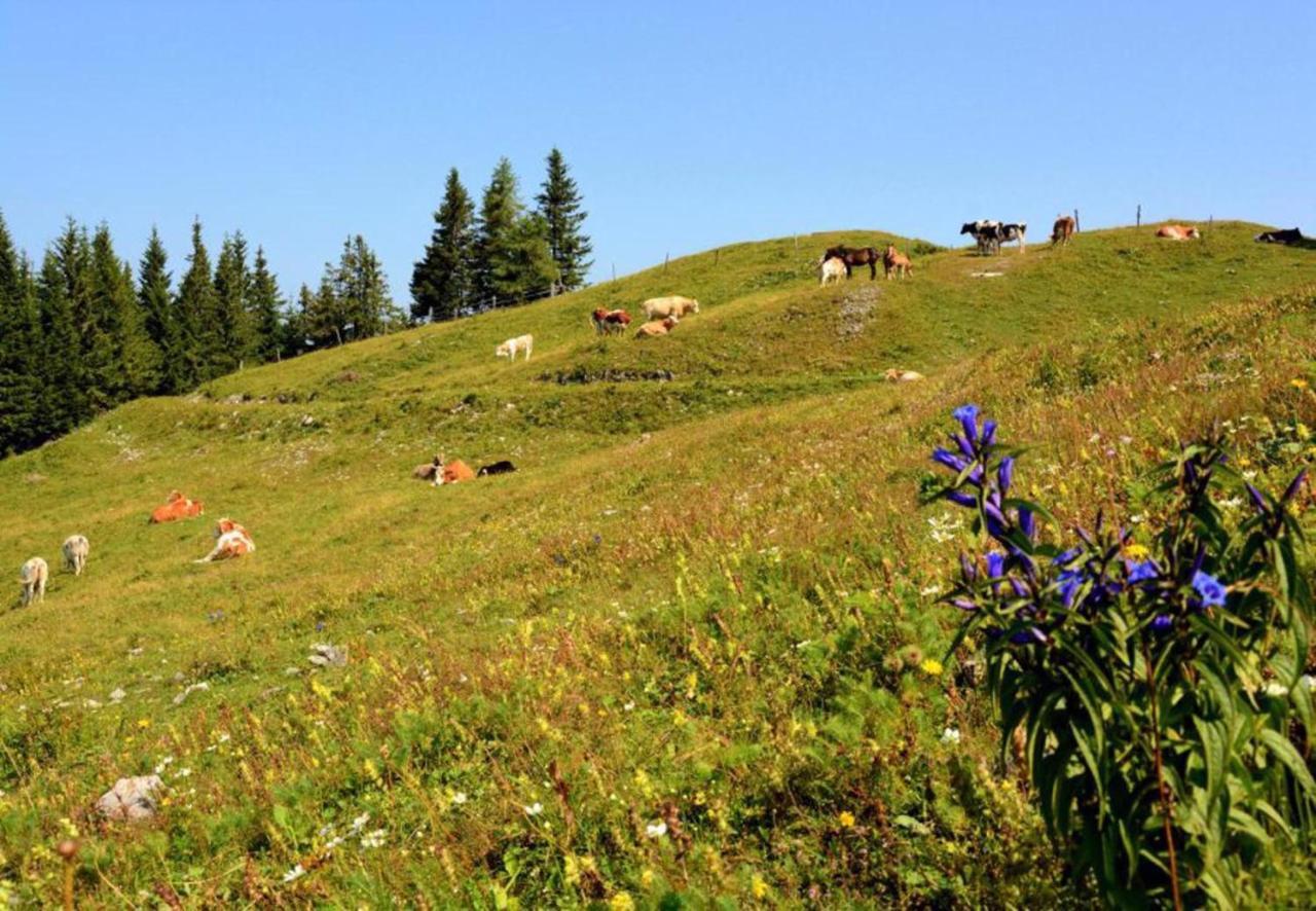 Camping Naturplac Na Skali Ljubno Zewnętrze zdjęcie