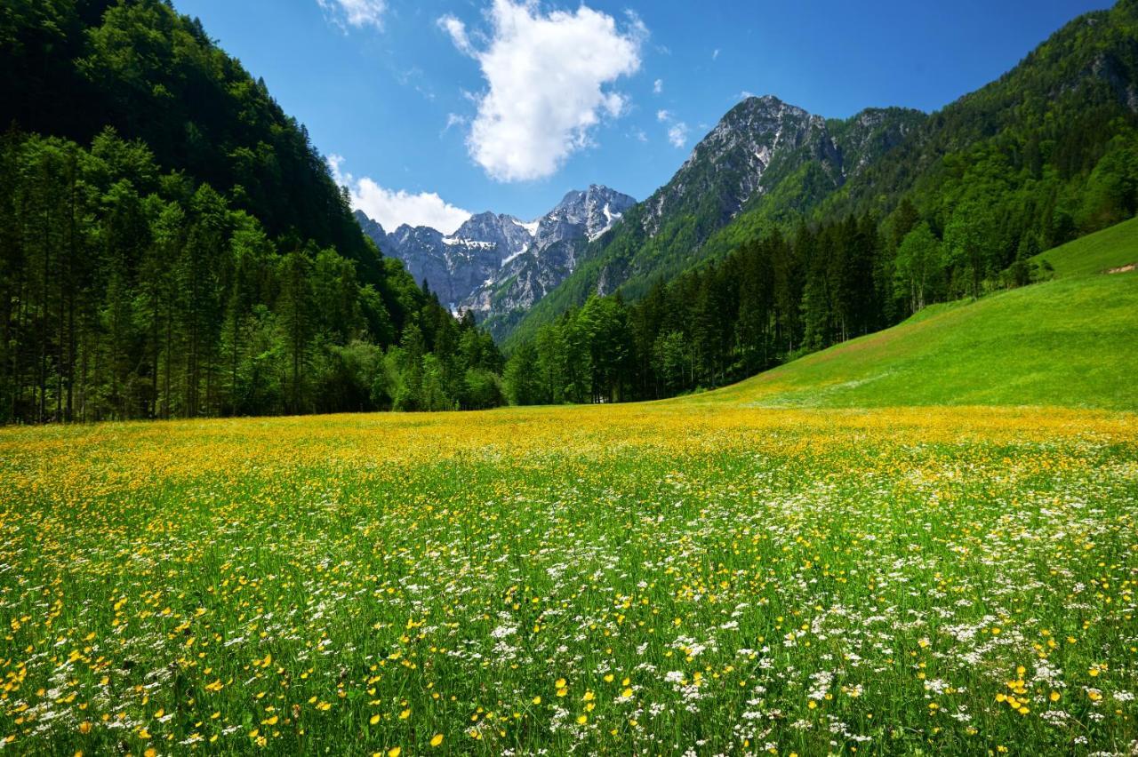 Camping Naturplac Na Skali Ljubno Zewnętrze zdjęcie