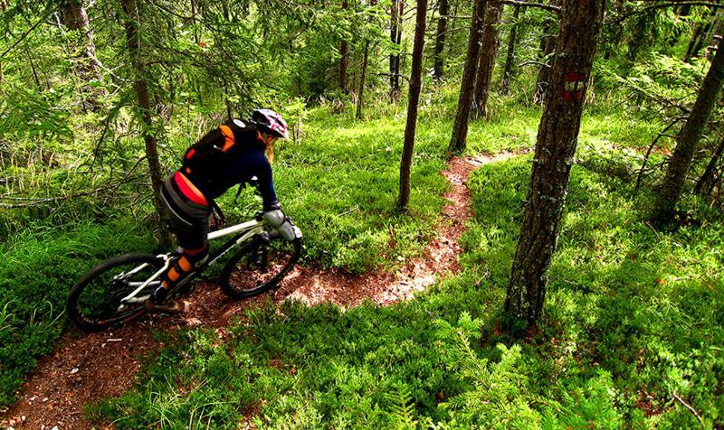 Camping Naturplac Na Skali Ljubno Zewnętrze zdjęcie